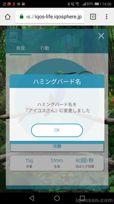 有名字了!(原来名称是「蜂鸟」啊)