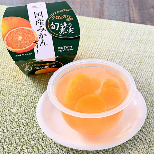 当季水果家产柑橘冻