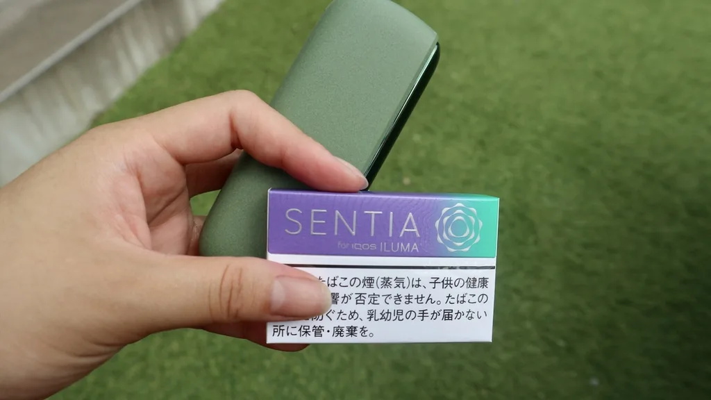 加热烟草口味——