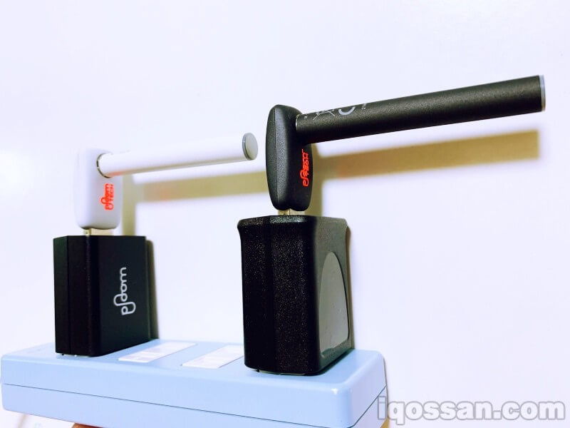 尝试为黑白PloomTECH充电