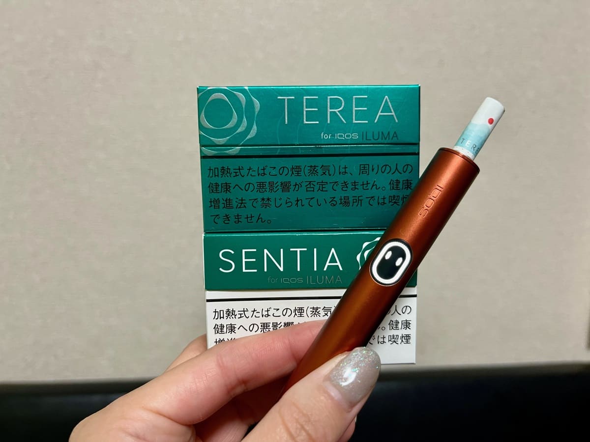 加热烟草口味