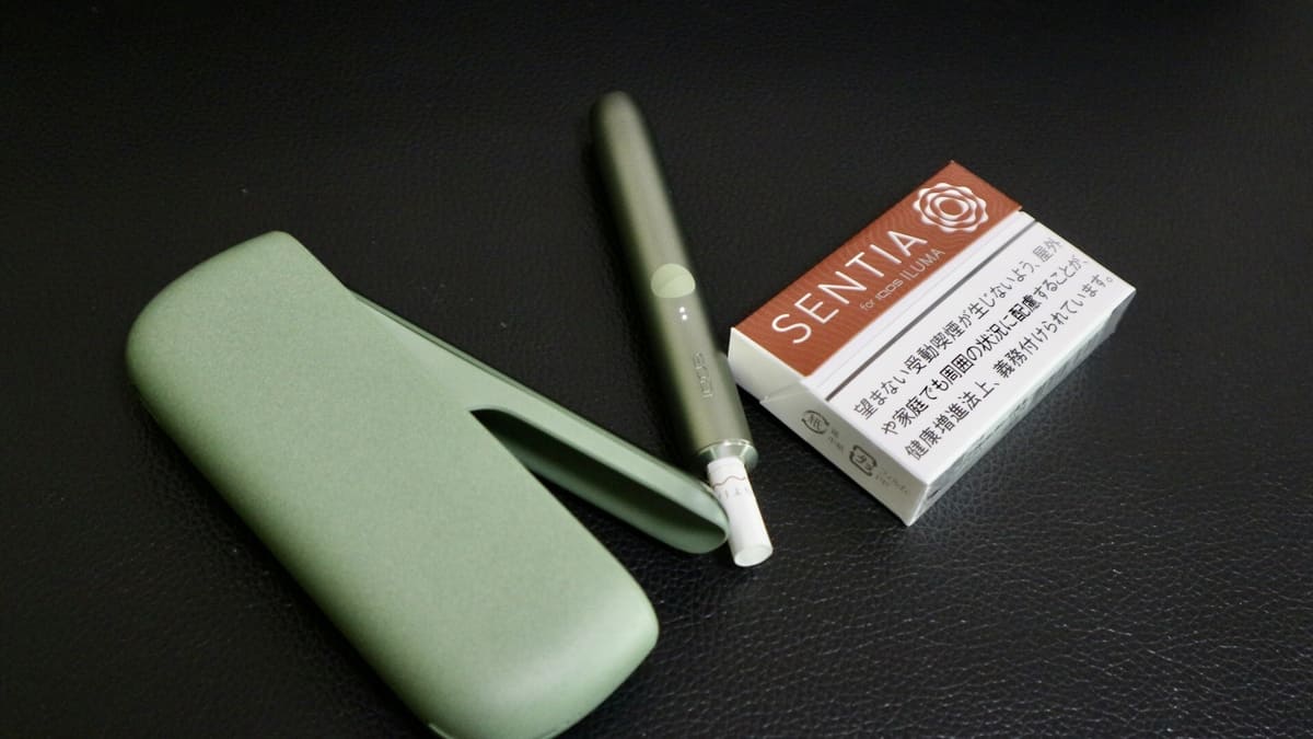加热烟草口味