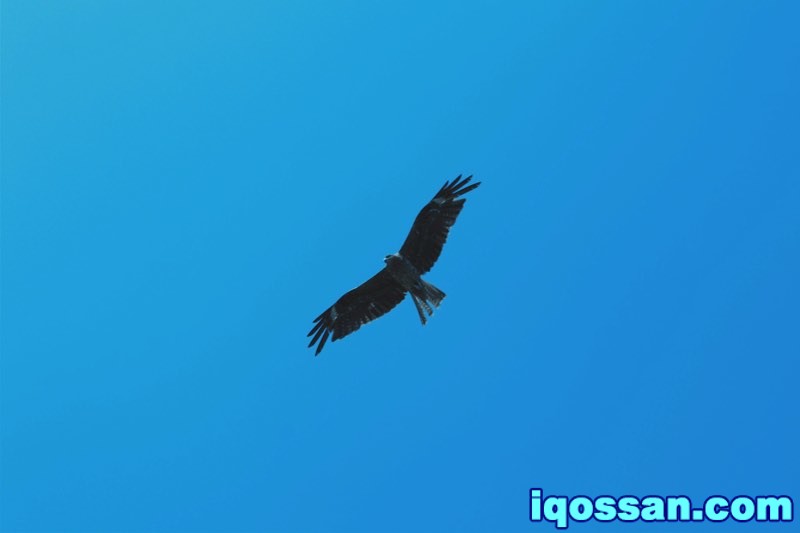 IQOS与时代变化