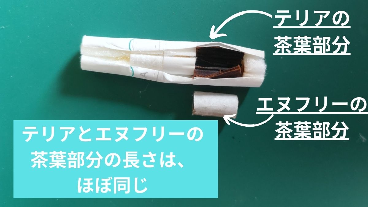 N Freetia与TEREA的比较
