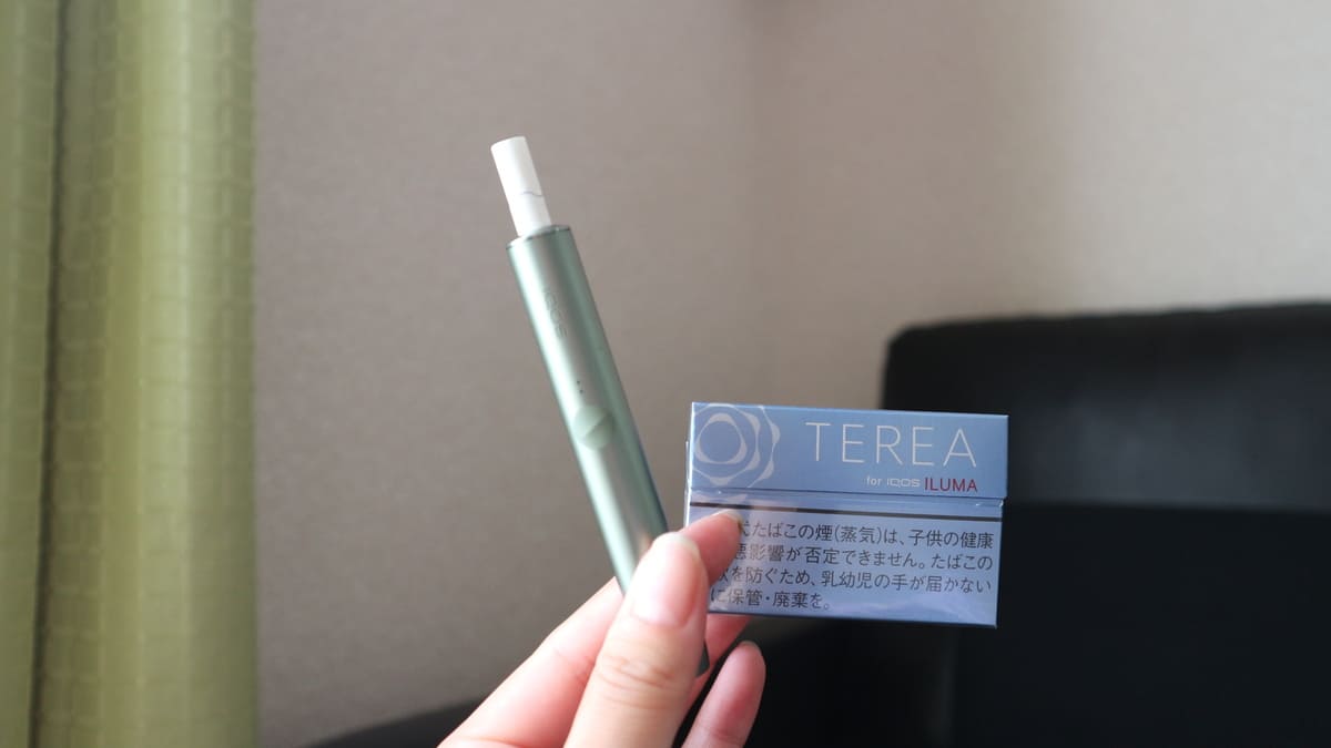 加热烟草口味