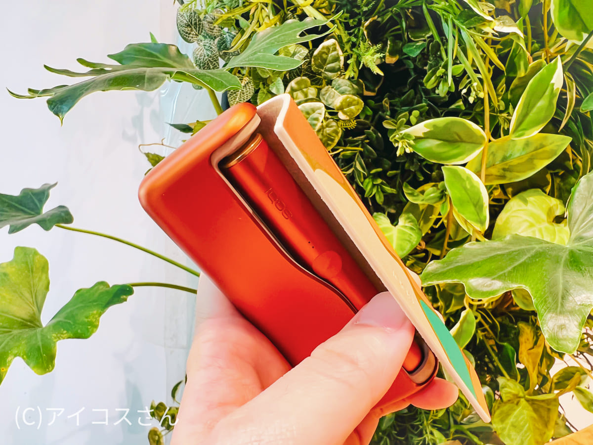 IQOS ILUMA PRIME Oasis