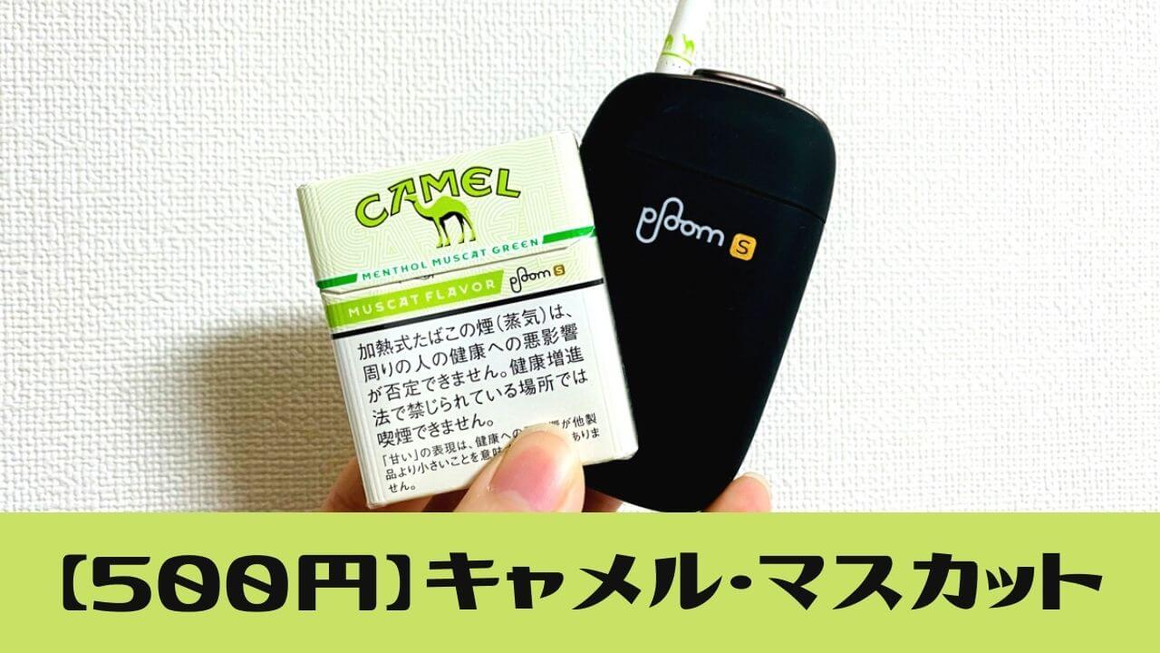 真的只要500日元？薄荷口感最佳的Ploom S「Camel Muscat」评测【新口味】