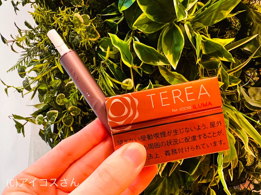 品吸TEREA Bold Regular