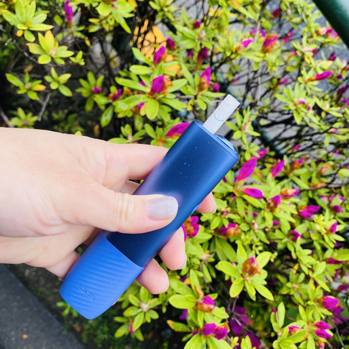 外出好伴侣「IQOS ILUMA i ONE」