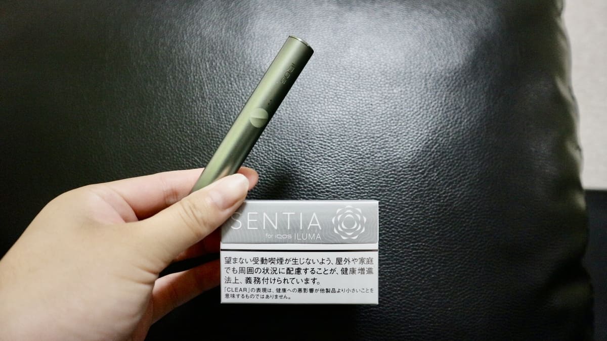 加热烟草口味