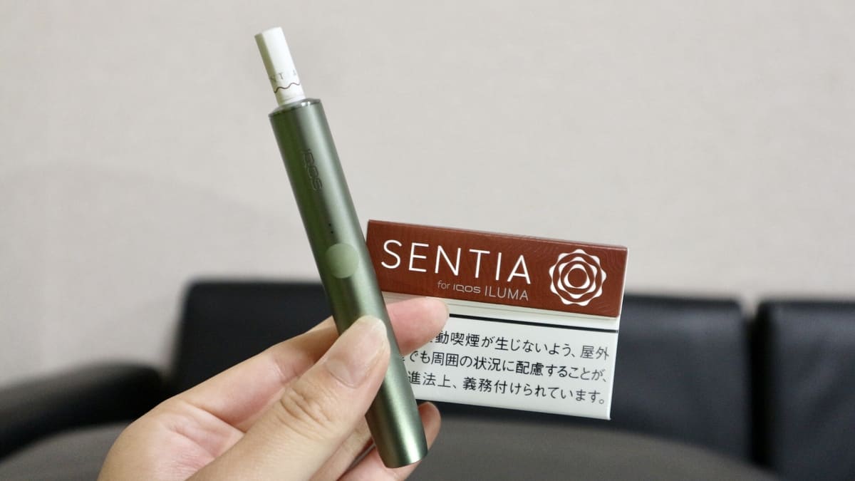 加热烟草口味