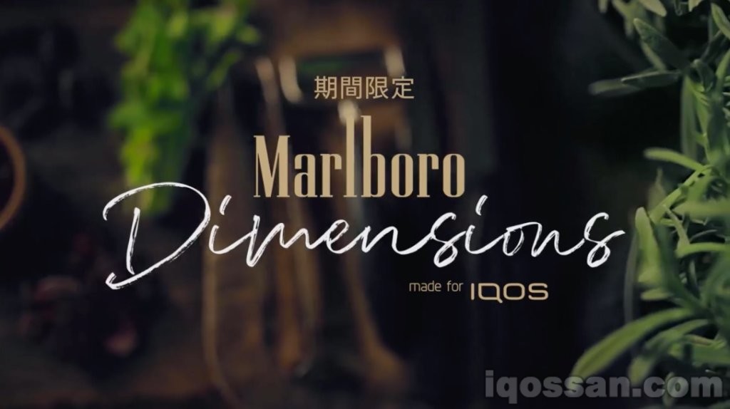 IQOS期间限定口味“Dimensions”