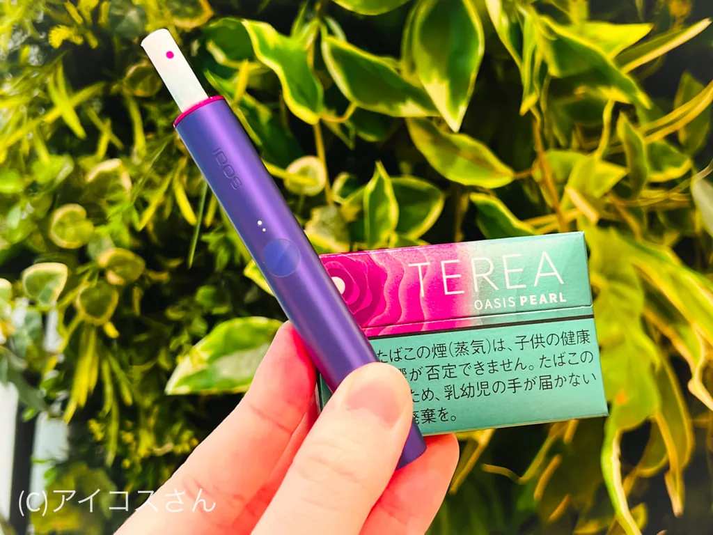 试抽IQOS ILUMA专用TEREA Oasis Pearl