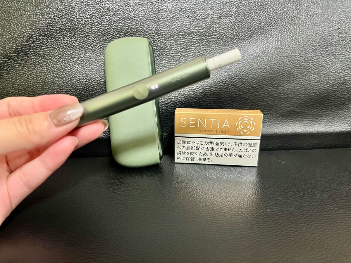 加热烟草口味