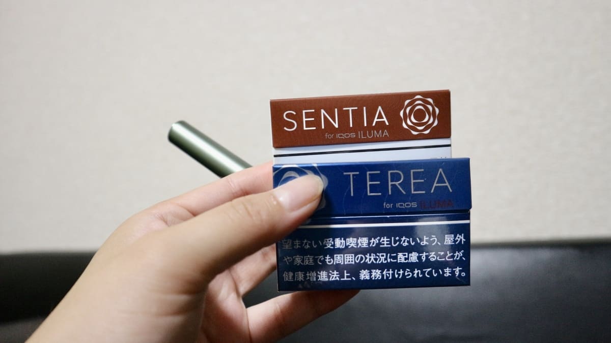 加热烟草口味