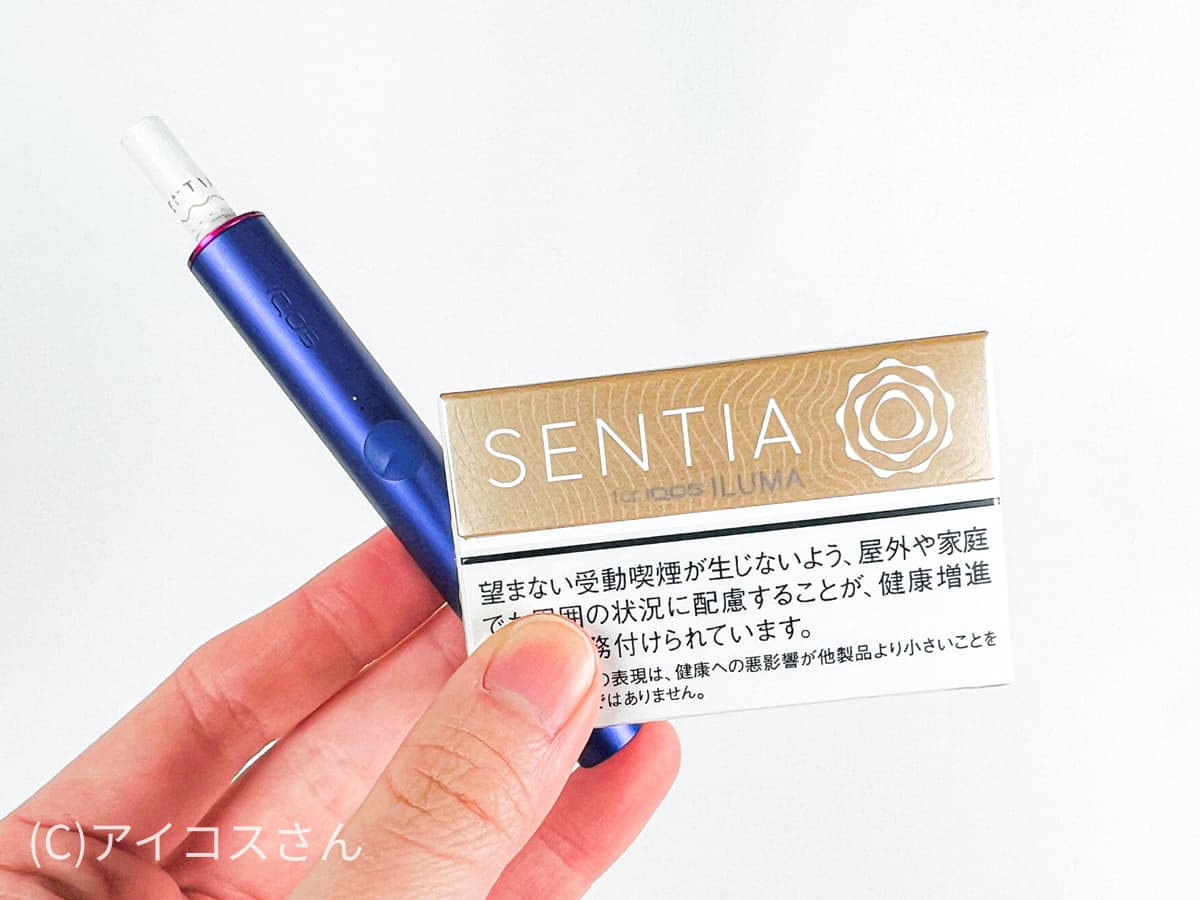 尝试SENTIA Smooth Gold的效果