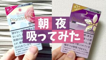Ploom TECH限定口味晨间与夜间试吸【Morning・Midnight】