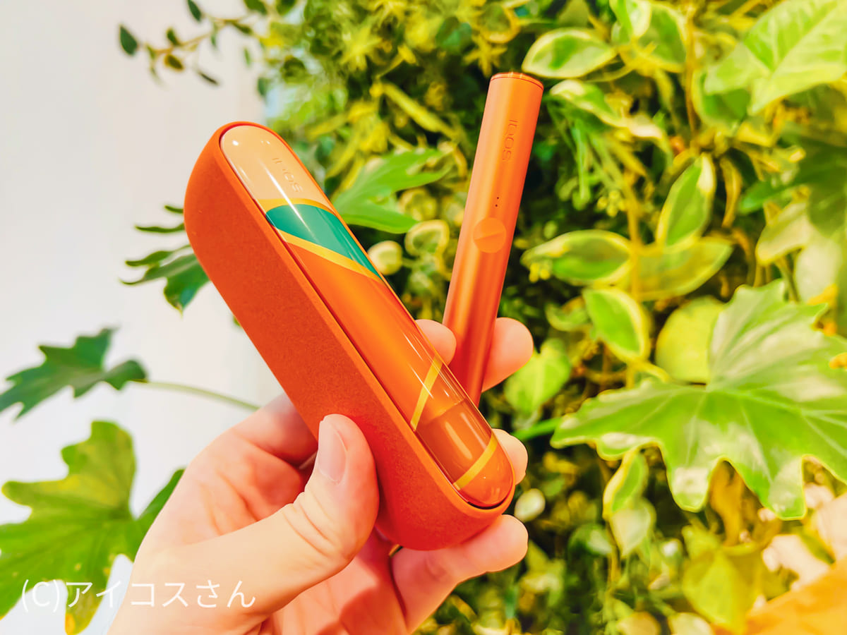 IQOS ILUMA Oasis
