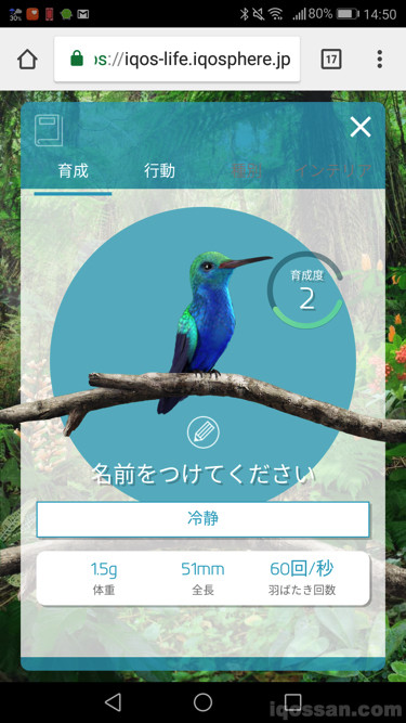 最初是没有名字的普通蜂鸟(冷静)
