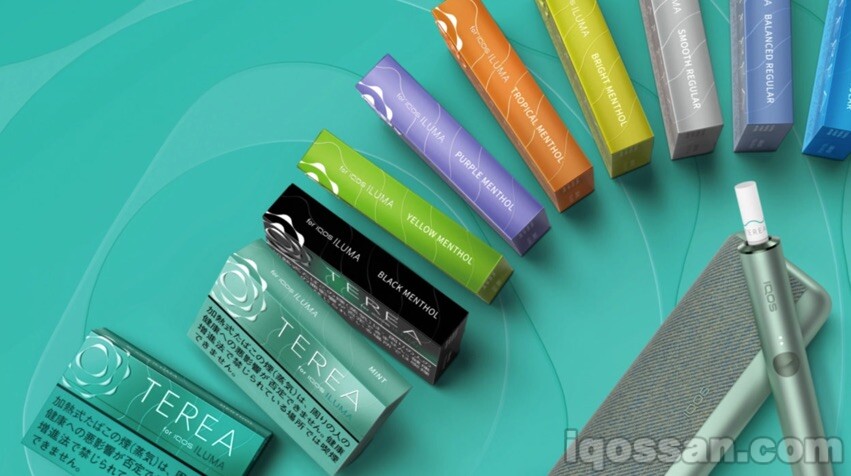 IQOS TEREA图片