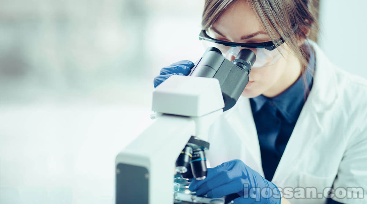 IQOS的尼古丁含量与健康风险|对比厚生劳动省与IQOS制造商的数据
