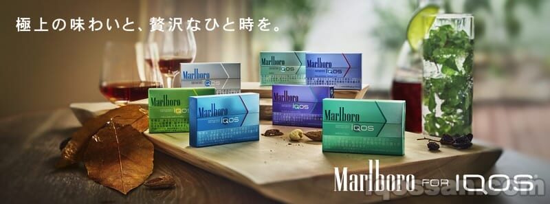IQOS加热烟弹的图片