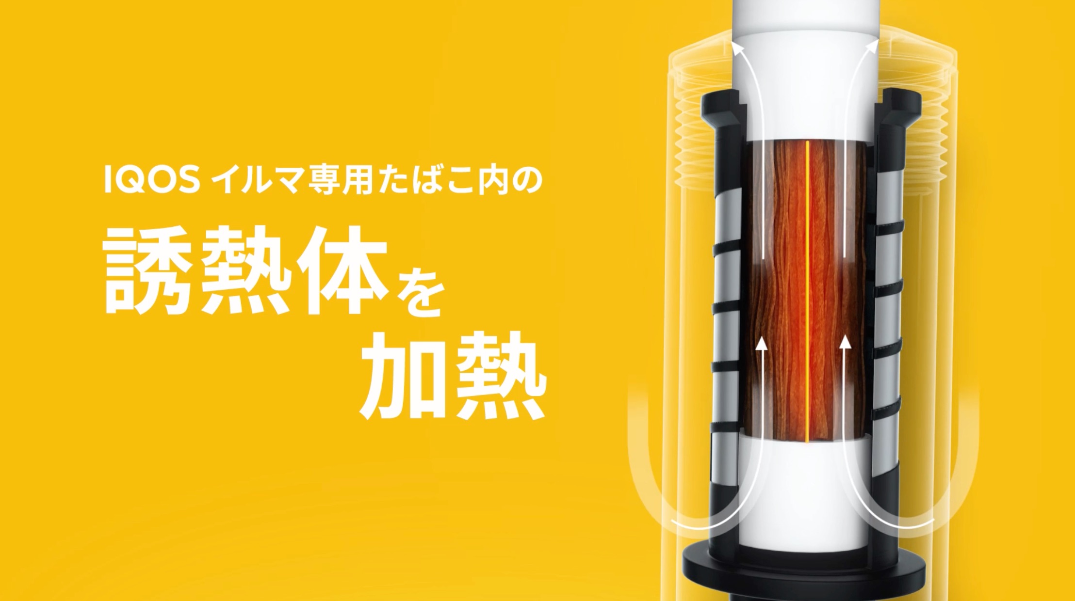 即使没有加热刀片也能直接加热烟叶的IQOS ILUMA
