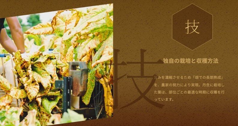 黄金叶的讲究:技艺