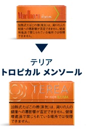 TEREA热带薄荷被推荐