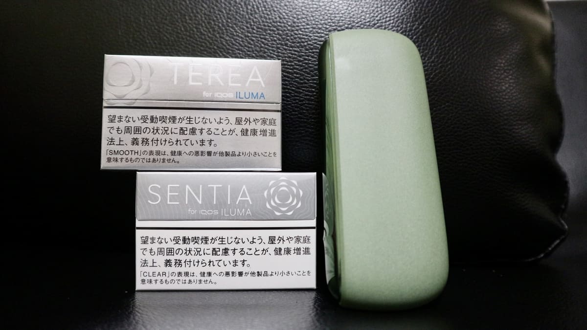 加热烟草口味