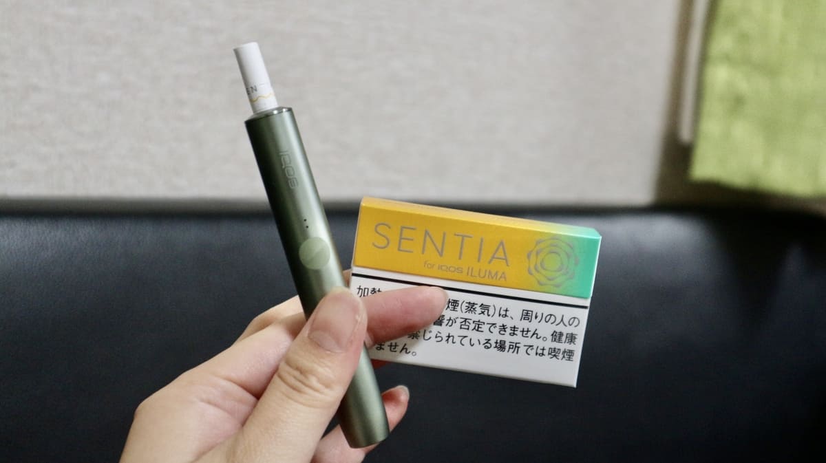 加热烟草口味