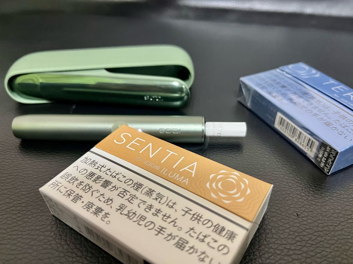 加热烟草口味