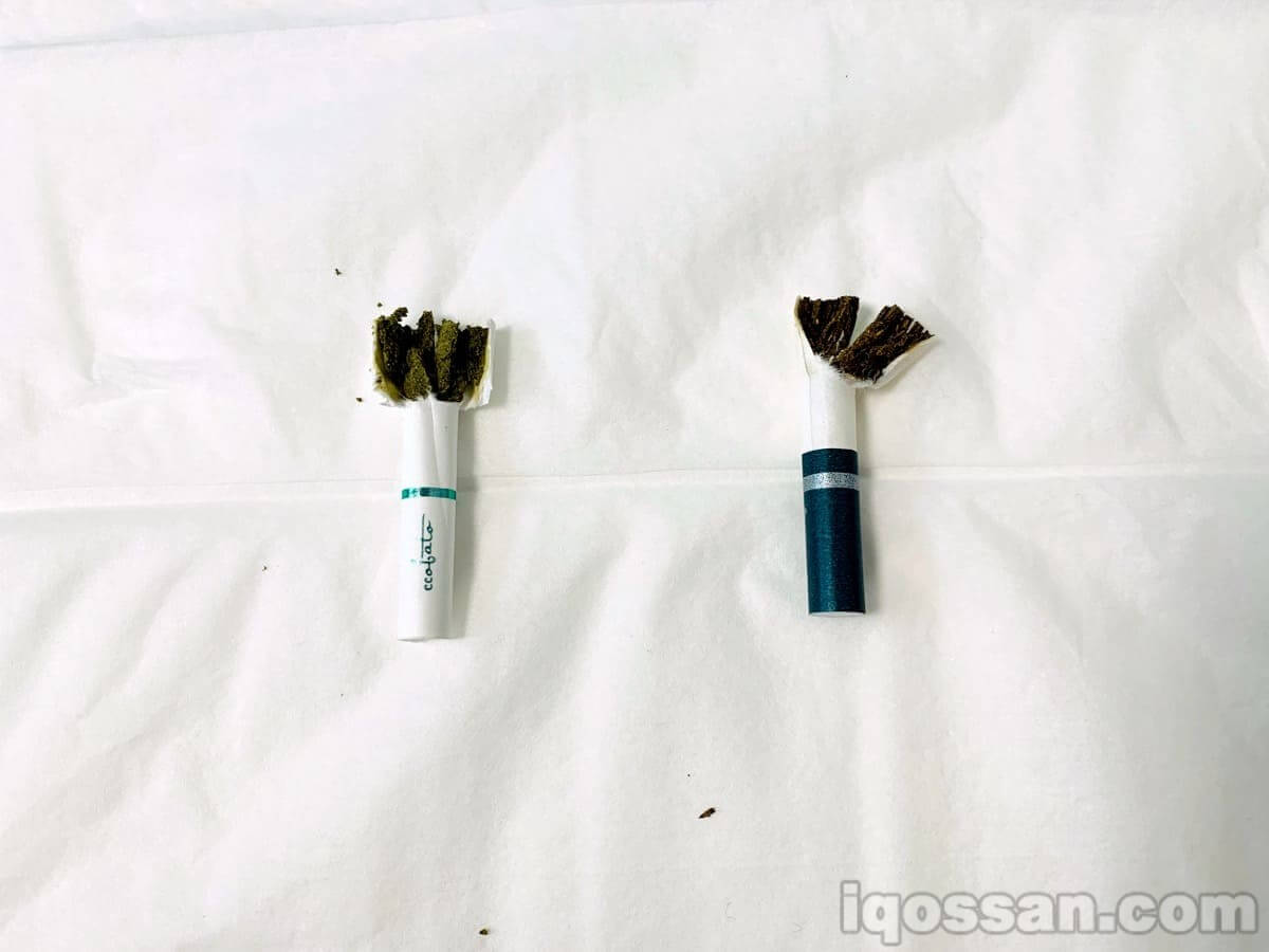 解剖茶叶部分。左侧为COBATO,右侧为NICORES