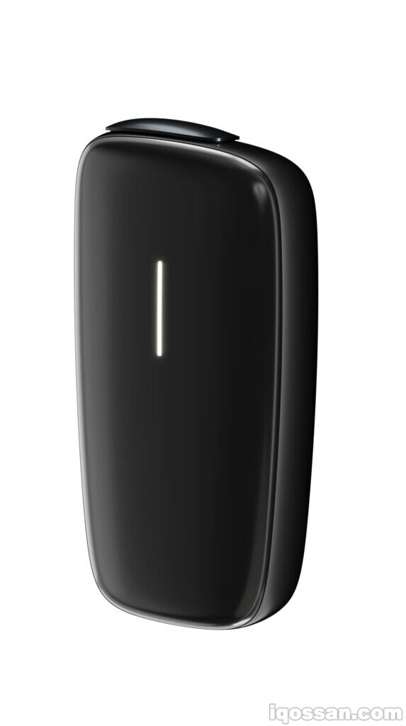 Ploom X:石板灰