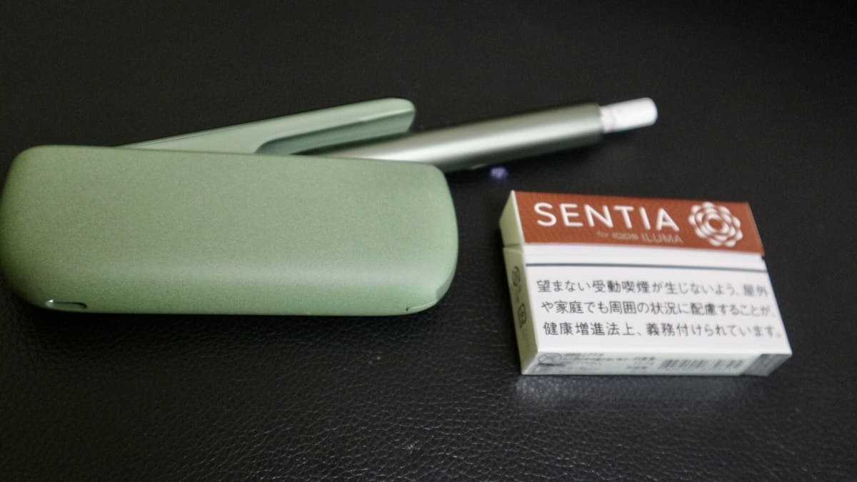 加热烟草口味