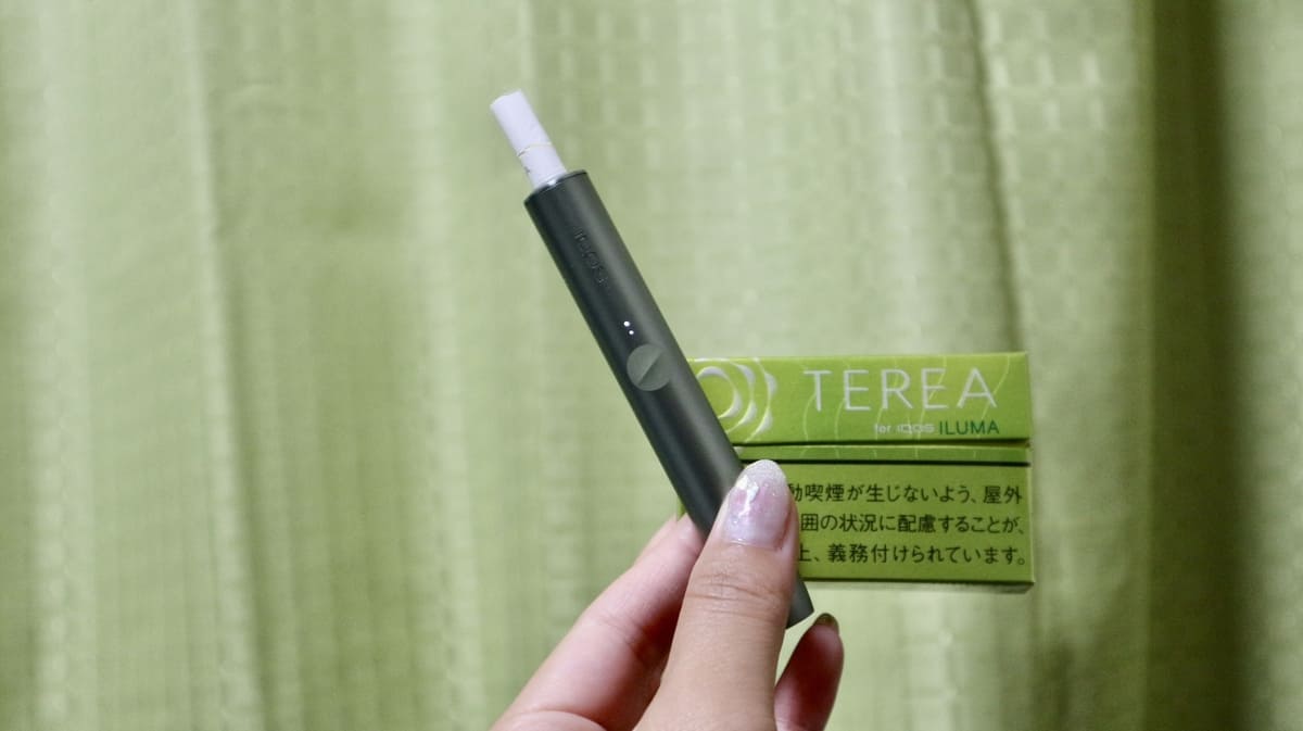 加热烟草口味