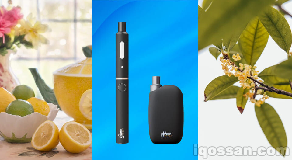 Ploom Tech Plus专用Pianissimo两款新口味登场!或将于今夏以550日元发售