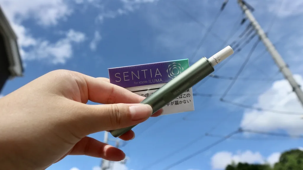 加热烟草口味——